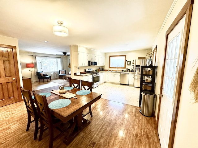 dining room featuring light hardwood / wood-style flooring, ceiling fan, a healthy amount of sunlight, and sink