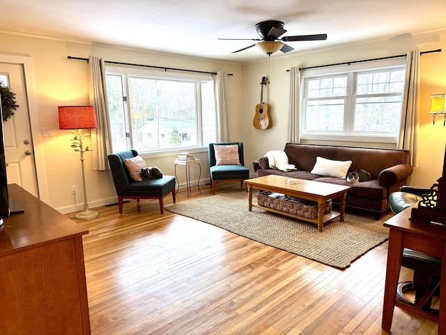 living room featuring light hardwood / wood-style floors, a wealth of natural light, crown molding, and ceiling fan