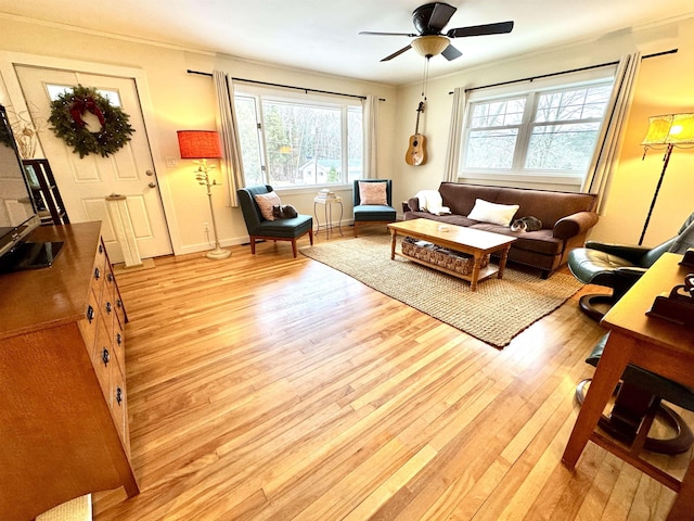 living room featuring light wood-type flooring, ceiling fan, and crown molding