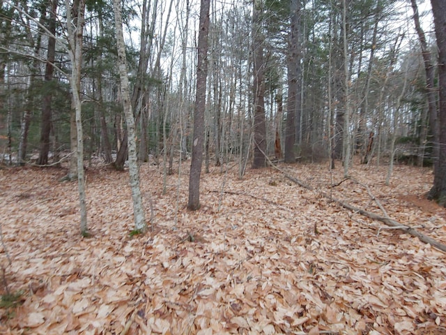 Listing photo 3 for LOT72 Holmes Rd, Barnstead NH 03225