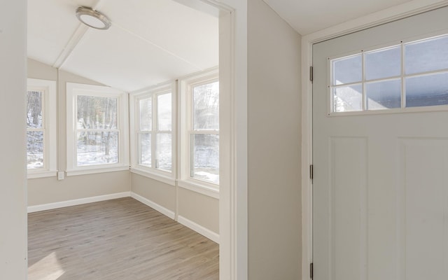 entryway featuring light hardwood / wood-style floors and a healthy amount of sunlight