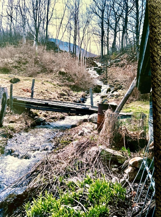 622 S Main St, Danby, VT 05739 - view of nature