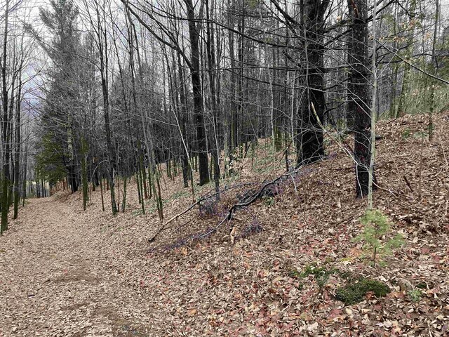 622 S Main St, Danby, VT 05739 - view of landscape