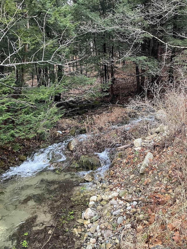 622 S Main St, Danby, VT 05739 - view of local wilderness