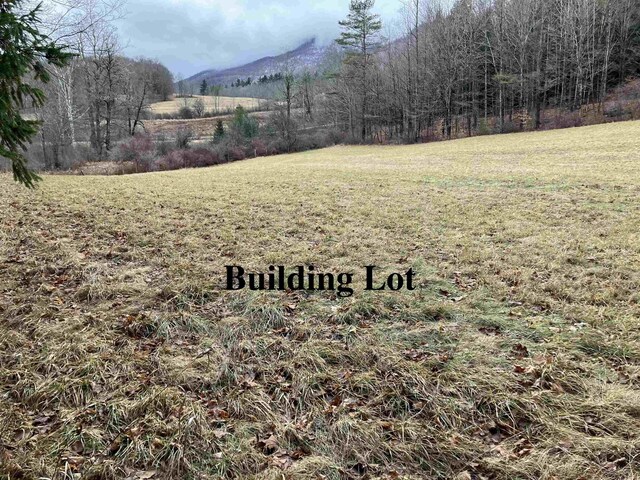 622 S Main St, Danby, VT 05739 - view of yard featuring a mountain view and a rural view