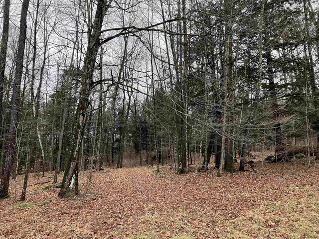 622 S Main St, Danby, VT 05739 - view of landscape