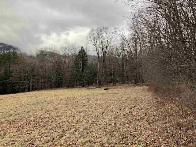 622 S Main St, Danby, VT 05739 - view of yard