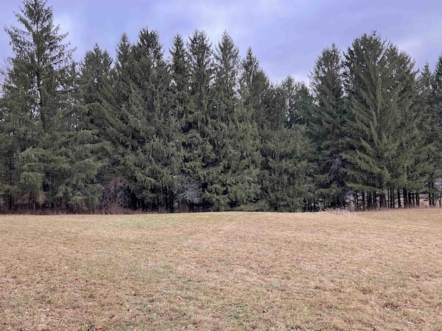 622 S Main St, Danby, VT 05739 - view of nature