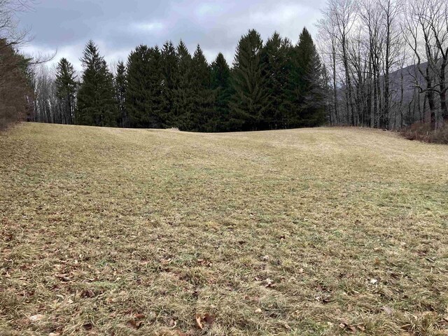 622 S Main St, Danby, VT 05739 - view of yard