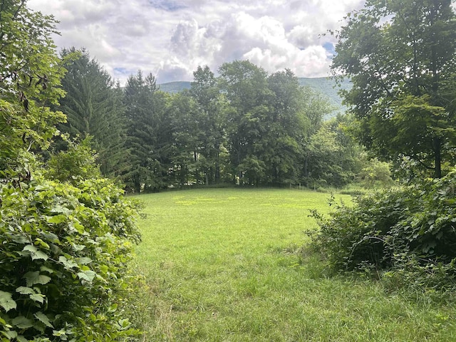 622 S Main St, Danby, VT 05739 - view of yard