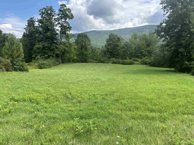 622 S Main St, Danby, VT 05739 - view of yard with a mountain view