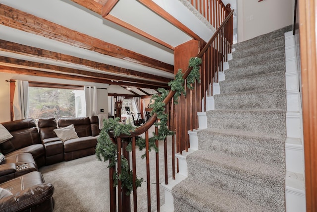 stairway with beamed ceiling and carpet floors