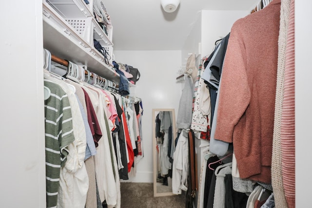 spacious closet featuring carpet floors