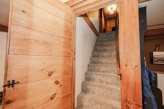 stairs featuring wood walls and carpet