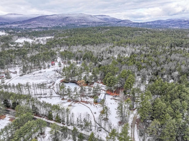 snowy aerial view with a mountain view