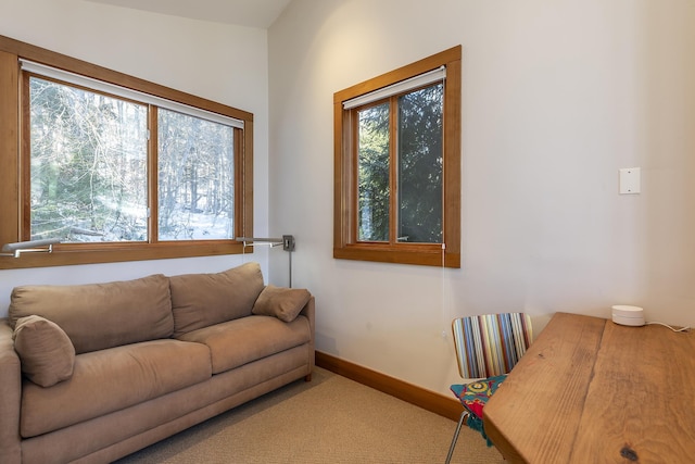 living room with carpet floors and a wealth of natural light