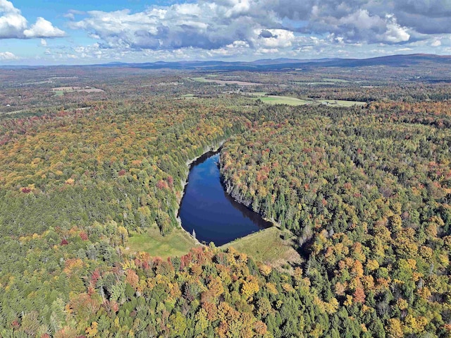 drone / aerial view with a wooded view and a water and mountain view