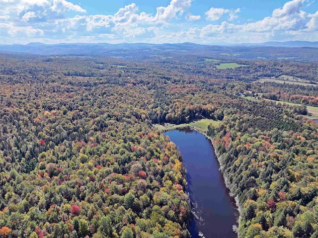 bird's eye view featuring a forest view and a water and mountain view