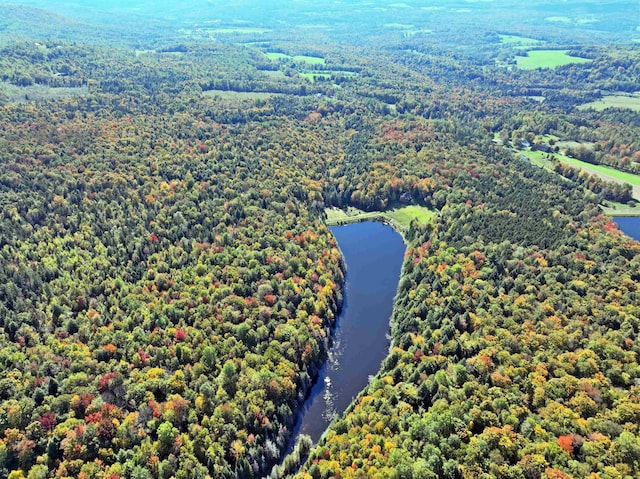 bird's eye view with a water view and a view of trees