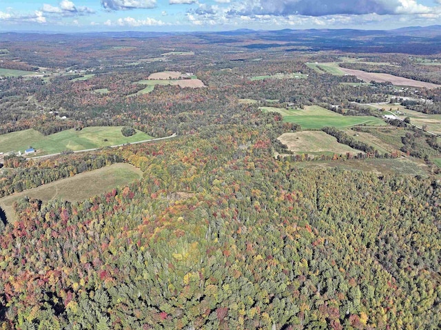 bird's eye view with a mountain view