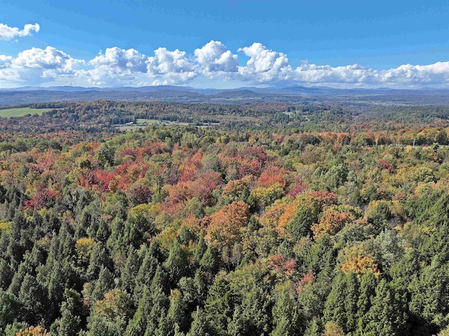 drone / aerial view featuring a mountain view and a view of trees