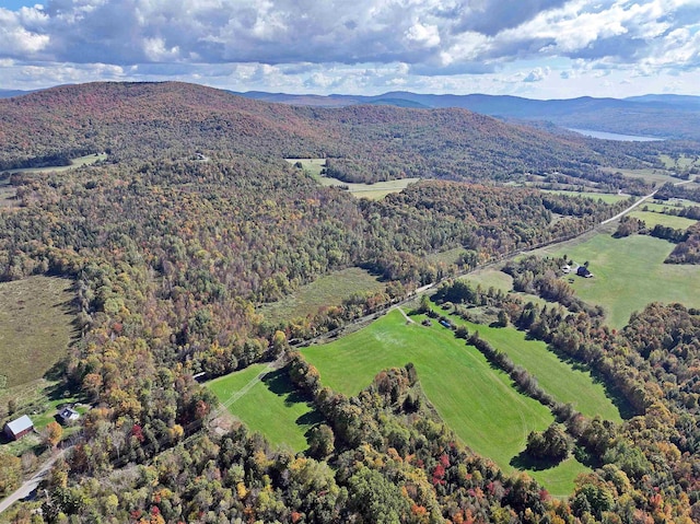 drone / aerial view with a mountain view