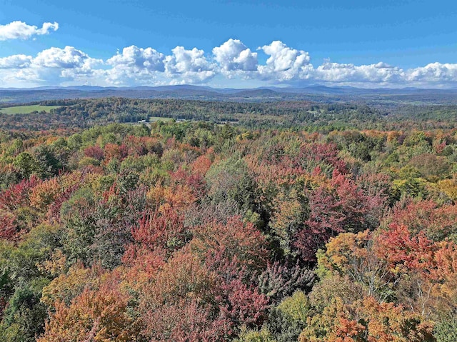 birds eye view of property featuring a mountain view and a wooded view