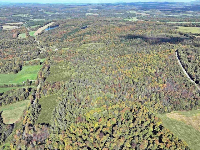 aerial view with a forest view