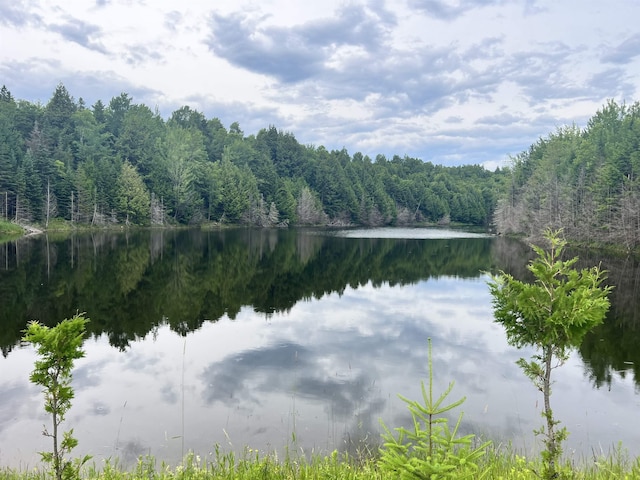 view of water feature featuring a wooded view