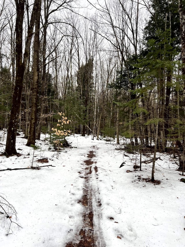 view of snowy view