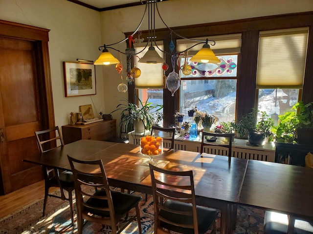 dining space featuring a healthy amount of sunlight, wood-type flooring, and crown molding