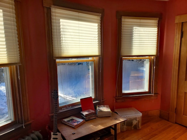 interior space featuring a wealth of natural light and hardwood / wood-style flooring