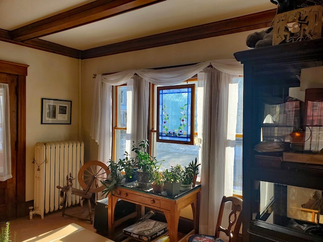 living area featuring a healthy amount of sunlight, radiator heating unit, and crown molding