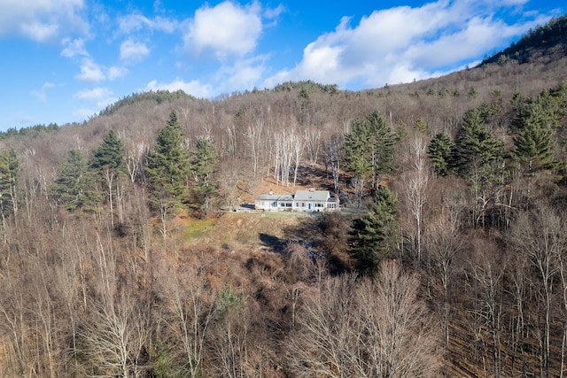 property view of mountains