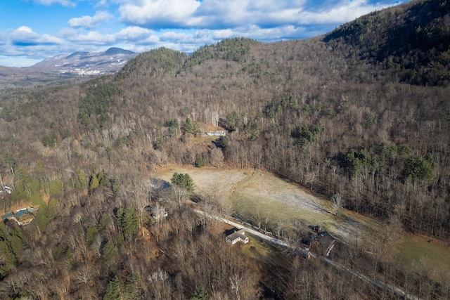 property view of mountains