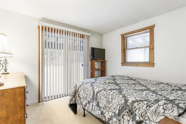 bedroom featuring carpet floors