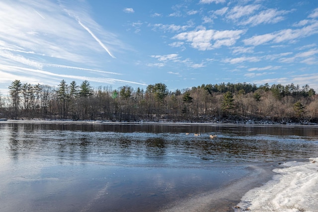 property view of water