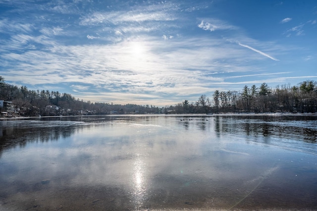 property view of water