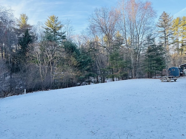 view of snowy yard