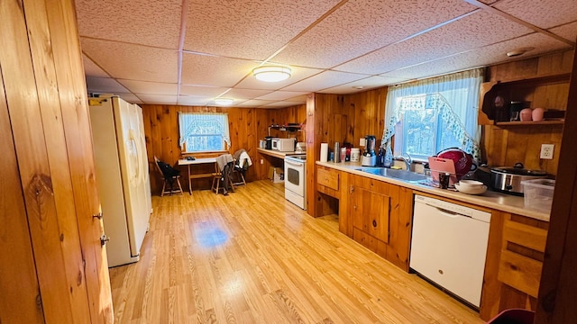 kitchen featuring a drop ceiling, white appliances, sink, and wooden walls