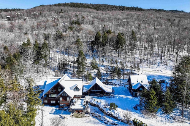 51 E Ash Rd, Plymouth, VT 05056 - view of snowy aerial view