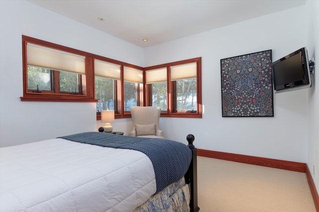 51 E Ash Rd, Plymouth, VT 05056 - bedroom with carpet floors and multiple windows
