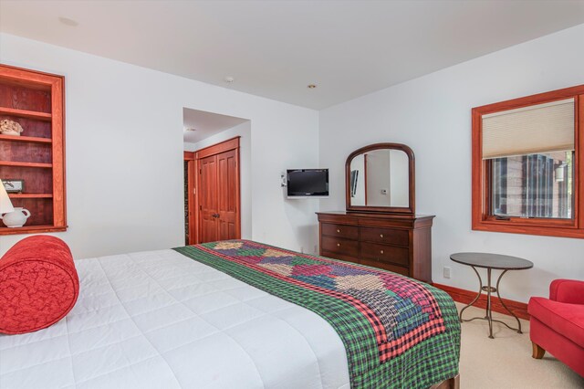 51 E Ash Rd, Plymouth, VT 05056 - bedroom with light carpet and a closet