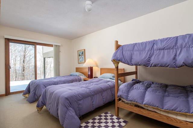 360 Okemo Trailside Ext Unit 37C, Ludlow, VT 05149 - bedroom featuring access to exterior and carpet flooring