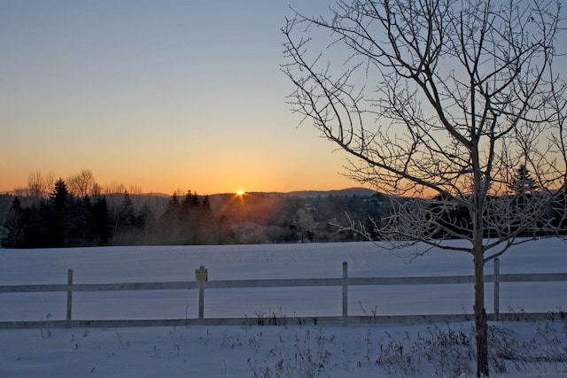 360 Okemo Trailside Ext Unit 37C, Ludlow, VT 05149 - view of yard