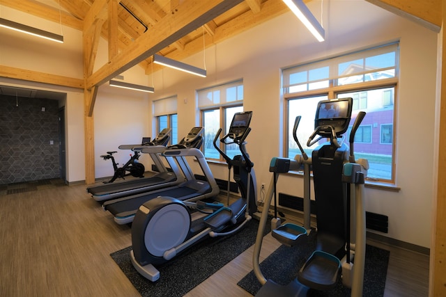 workout area featuring a towering ceiling and wood-type flooring