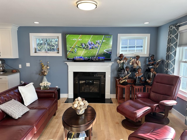 living room with light hardwood / wood-style floors and a wealth of natural light