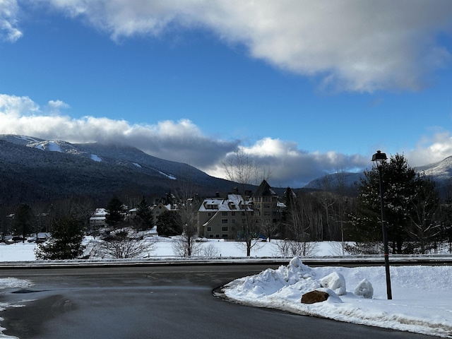 view of mountain feature