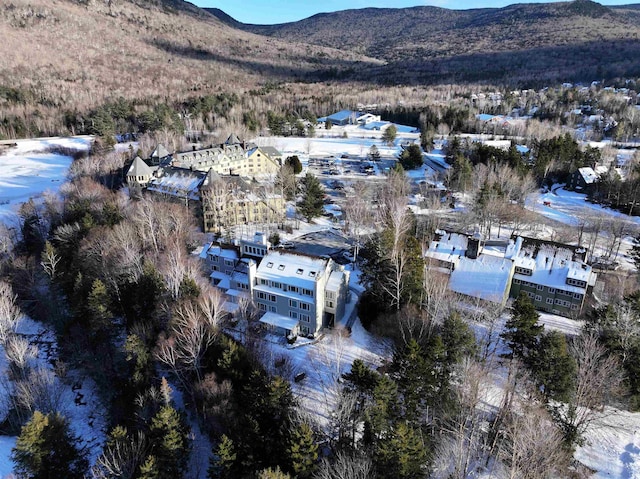 drone / aerial view with a mountain view