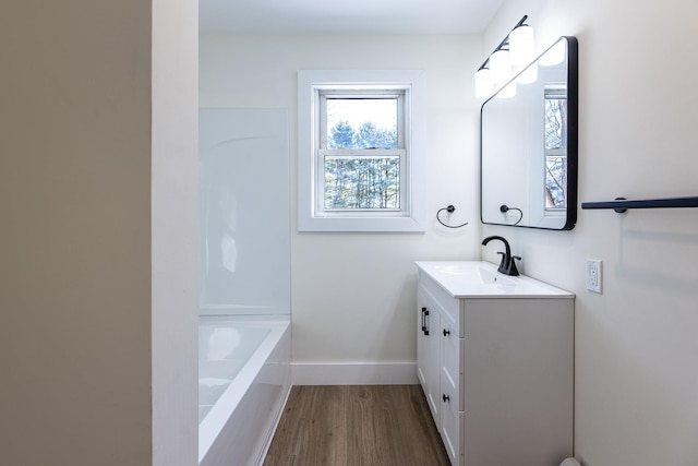 bathroom with hardwood / wood-style flooring and vanity